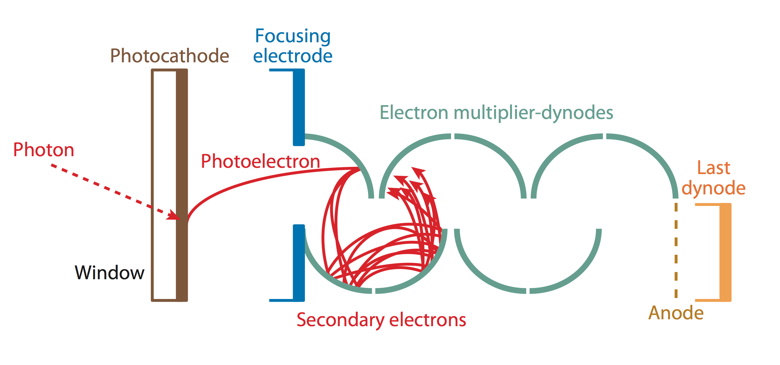 /env/presentation/pmt-schematic.png